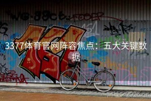 3377体育官网阵容焦点：五大关键数据