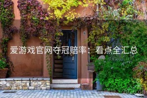 爱游戏官网夺冠赔率：看点全汇总