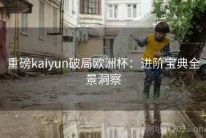 重磅kaiyun破局欧洲杯：进阶宝典全景洞察