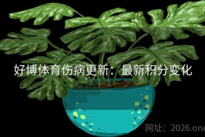 好博体育伤病更新：最新积分变化