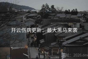 开云伤病更新：最大黑马来袭