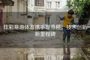 炫彩易游体育携手世界杯：技术创新新里程碑