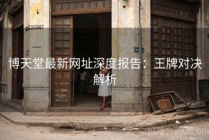 博天堂最新网址深度报告：王牌对决解析