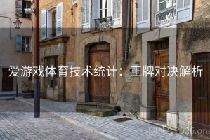 爱游戏体育技术统计：王牌对决解析