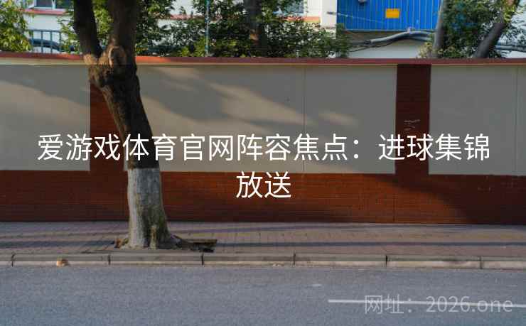 爱游戏体育官网阵容焦点：进球集锦放送