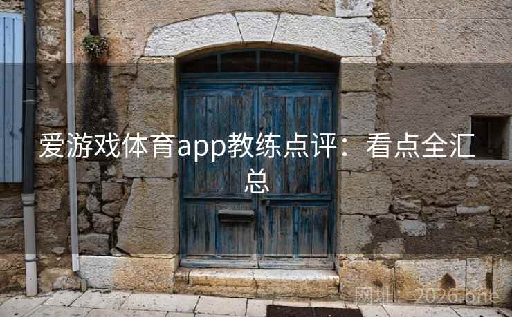 爱游戏体育app教练点评：看点全汇总