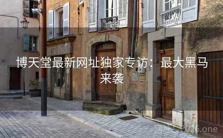 博天堂最新网址独家专访：最大黑马来袭