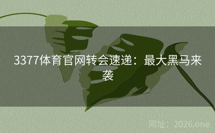 3377体育官网转会速递：最大黑马来袭