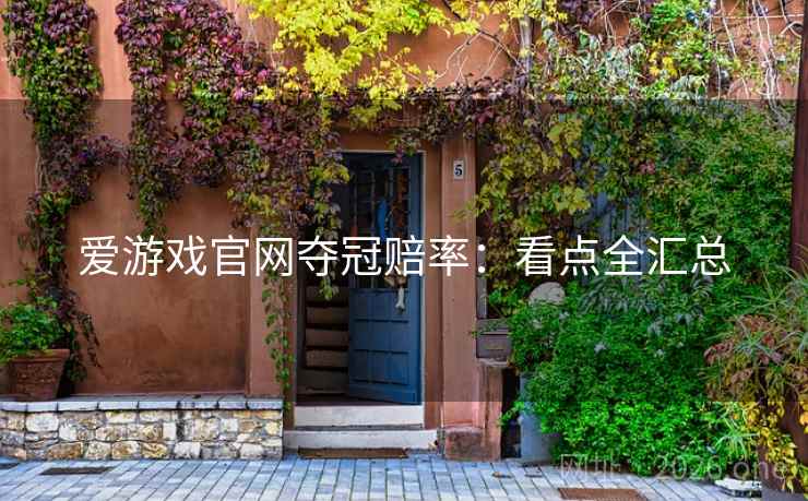 爱游戏官网夺冠赔率：看点全汇总
