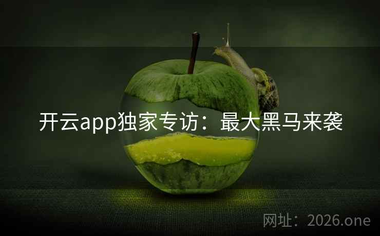 开云app独家专访：最大黑马来袭